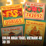 Pemain togel colok naga vietnam memprediksi angka.